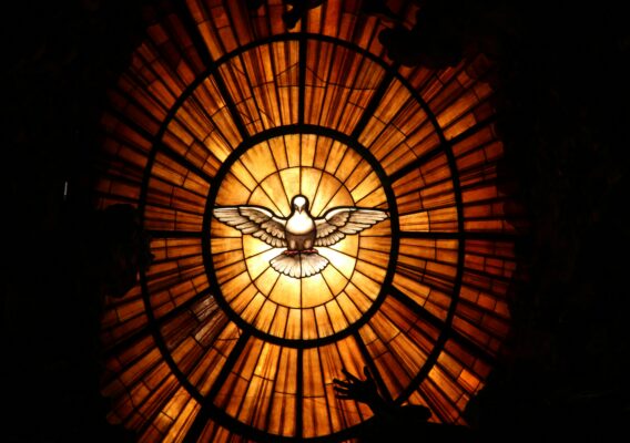 Stained glass window of a white dove with outstretched wings, glowing with warm amber light in a circular pattern.